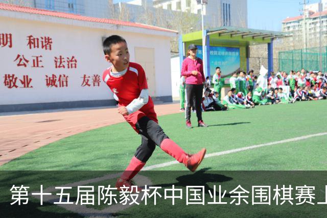 第十五届陈毅杯中国业余围棋赛上海开幕